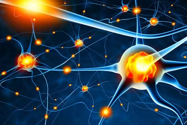 MB Life Coaching | Transformationstherapie MB Life Coaching | Transformationstherapie