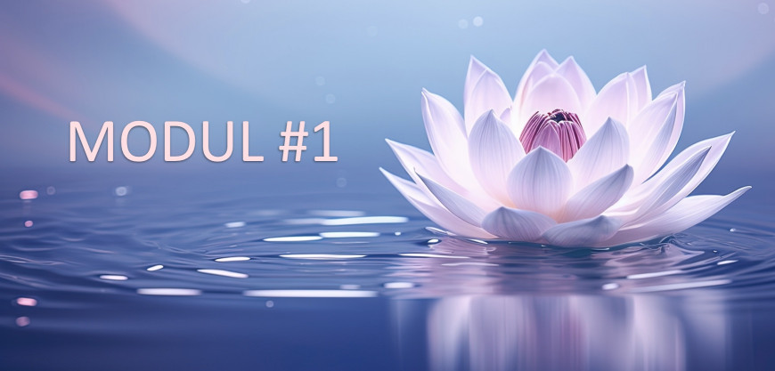 MB Life Coaching | Seminare für Therapeuten MB Life Coaching | Seminare für Therapeuten